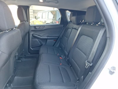 2026 Ford Escape Active®