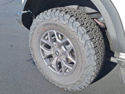 2025 Ford Bronco Badlands®