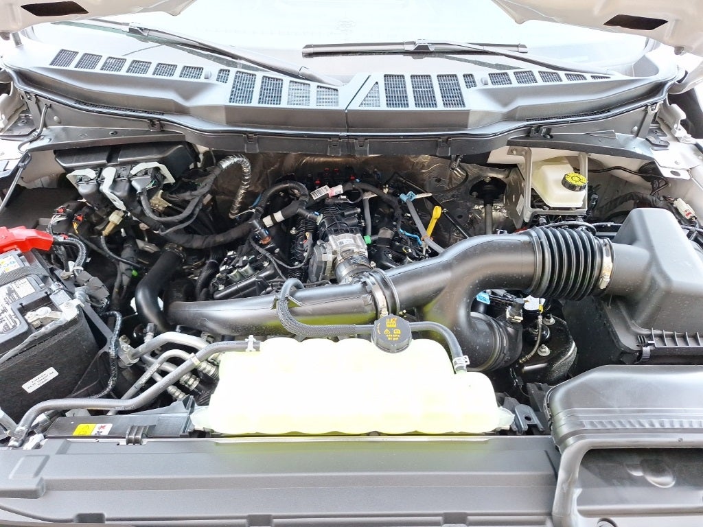 2025 Ford F-150 STX®