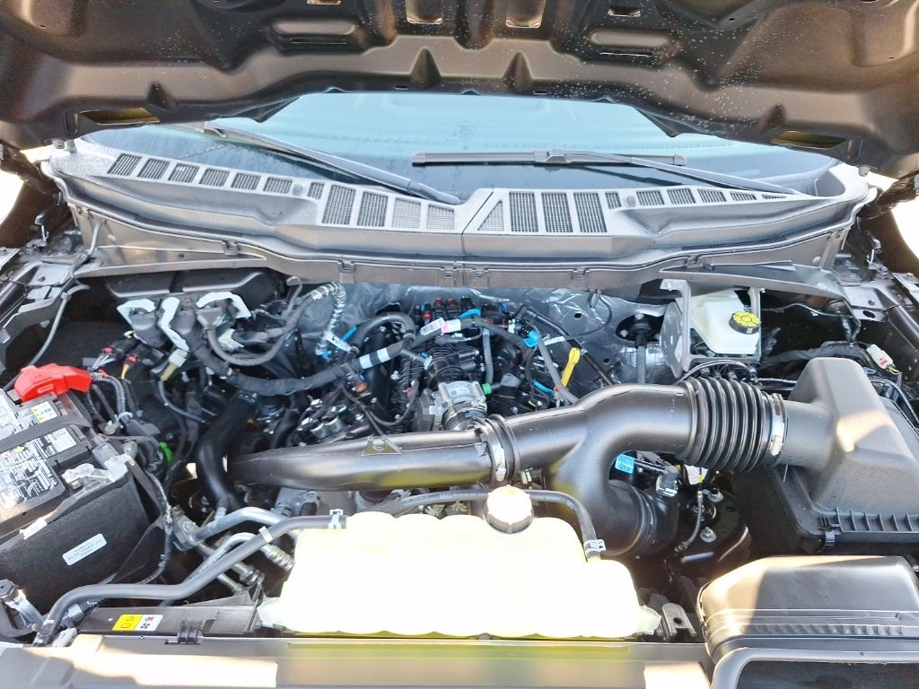 2025 Ford F-150 STX®