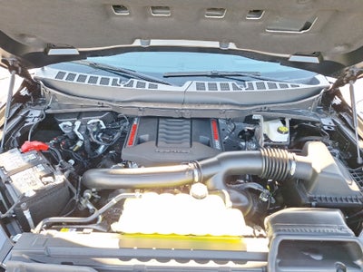 2025 Ford F-150 Raptor®